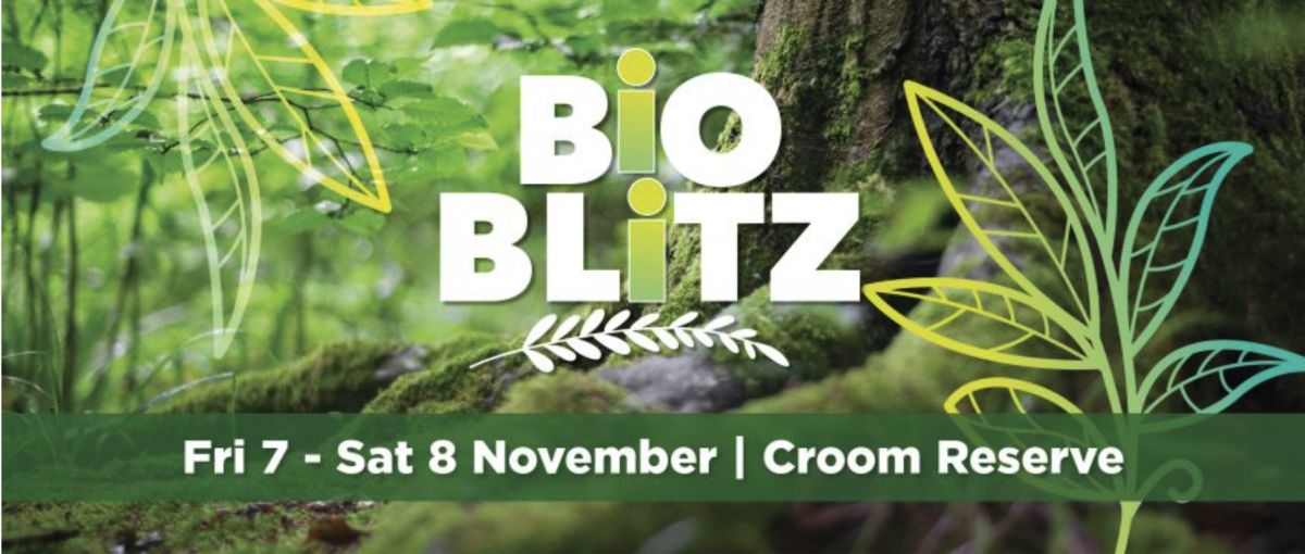 Banner for BioBlitz